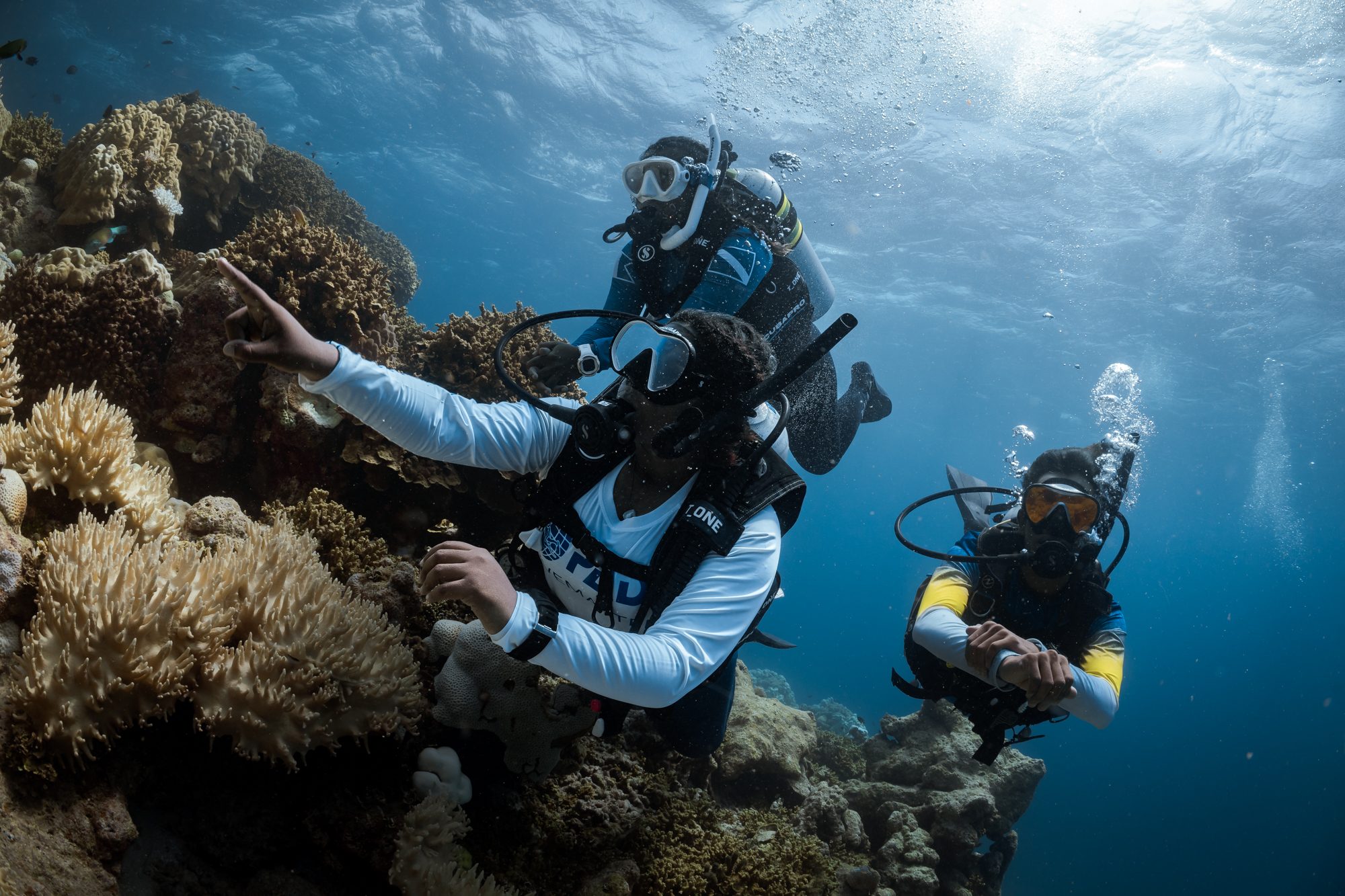 PADI Merülésvezető (Divemaster)