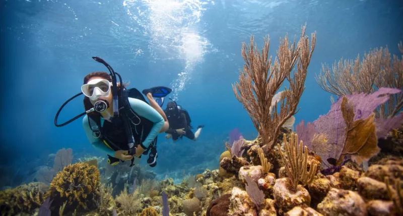 PADI Kezdő Búvártanfolyam borítókép